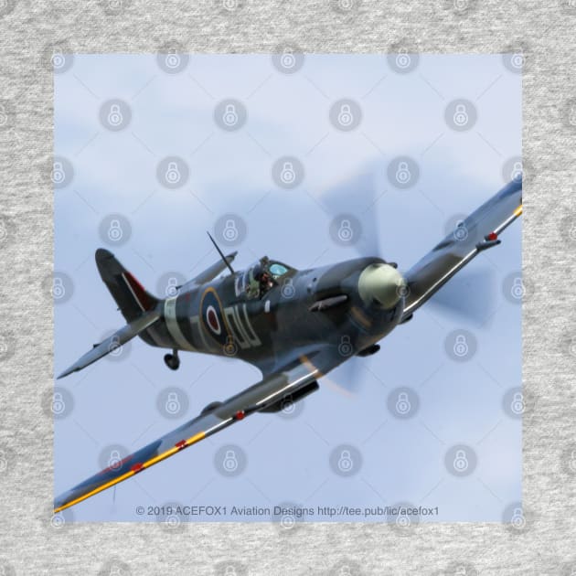 Supermarine Spitfire Mk.Vc close pass by acefox1